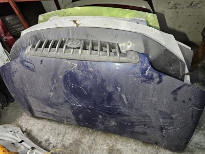 Hyundai Starex çıkma kaput