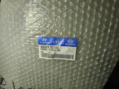 Hyundai Atos sağ ön çamurluk orjinal 66321-02160