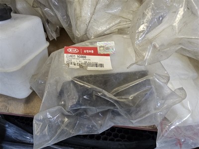 Hyundai Accent Era Yedek Su Deposu orijinal 25431-1G000